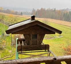 Picture50 Story – Teil 13: Fred und Claudia ziehen um.